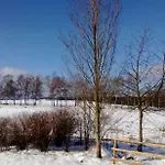 Sammy Хассельфельде