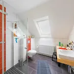 Sammy * Хассельфельде