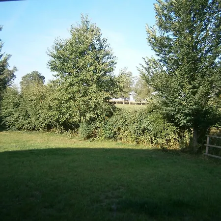 Sammy * هاسلفيلد