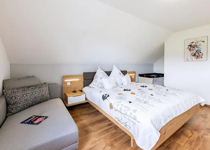 Sammy ハッセルフェルデ