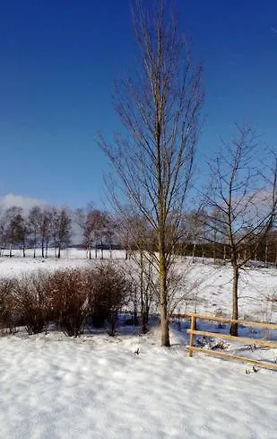 Sammy هاسلفيلد