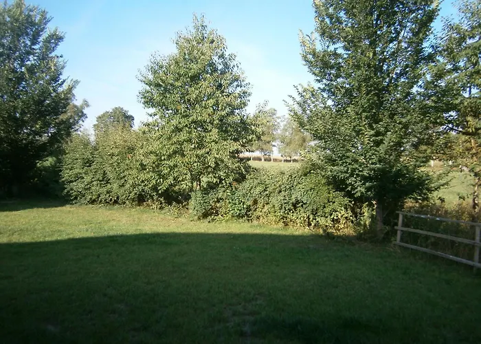 Sammy * هاسلفيلد